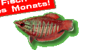 Fisch des Monats