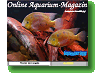 Online Aquarium-Magazin