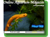 Online Aquarium-Magazin