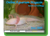 Online Aquarium-Magazin