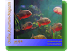 Online Aquarium-Magazin